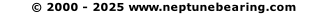 © 2000 - 2025 www.neptunebearing.com